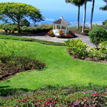 Doutor Coffee Mauka Meadows - Circa 2007 - Coffee & Tea Near Me - Holualoa, Hawaii