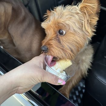 Andy's Frozen Custard - Ice Cream & Frozen Yogurt Near Me - Chicago, Illinois