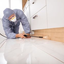 Brown Pest Control