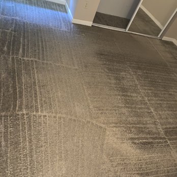 All Muscle Carpet Cleaning - Carpet Cleaning Near Me All Muscle Carpet Cleaning - Carpet Cleaning Near Me