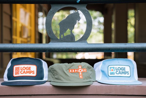 LOGE Glacier by null