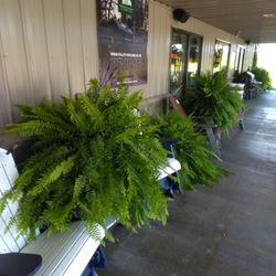 Pleasant Valley Bulk Foods