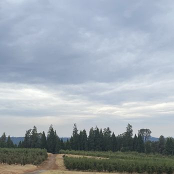 Boa Vista Orchards - View from balcony - Fruits & Veggies Near Me - Placerville, California
