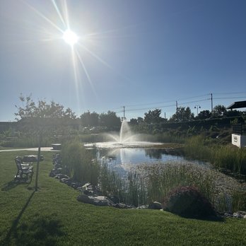 Truffle Pig Winery & Vineyards - Wineries Near Me - Temecula, California