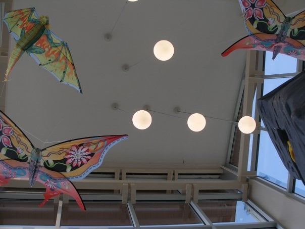 Glenwood Park Branch YMCA - social services organization in Erie, PA