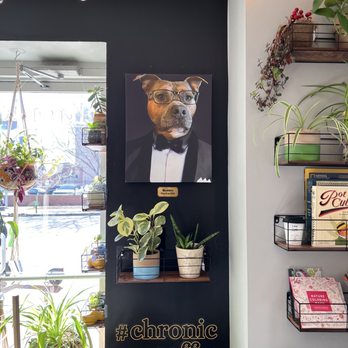 Chronic Coffee - Portrait of Buddha near the entrance - Coffee & Tea Near Me - Indianapolis, Indiana