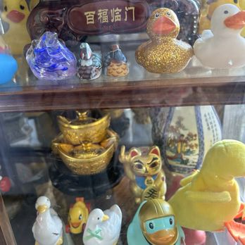 Golden Duck - Ducks on display - Seafood Near Me - Honolulu, Hawaii