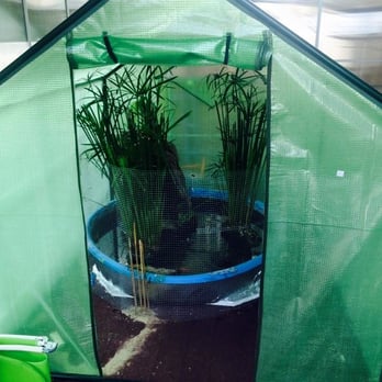 GreenThumb Hydroponics - Nurseries & Gardening Near Me - Rockford, Michigan