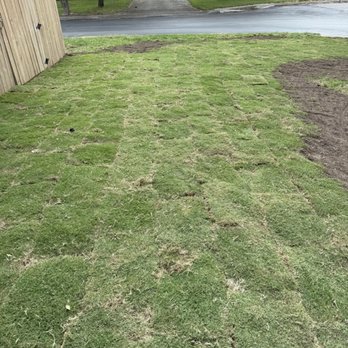 Bright Men Landscaping - New sod. - Landscaping Near Me Bright Men Landscaping - New sod. - Landscaping Near Me
