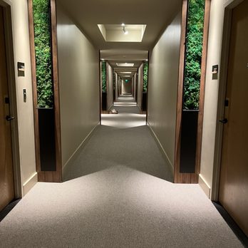 1 Hotel San Francisco - Hallway, all plants are real - Hotels Near Me - San Francisco, California 1 Hotel San Francisco - Hallway, all plants are real - Hotels Near Me - San Francisco, California