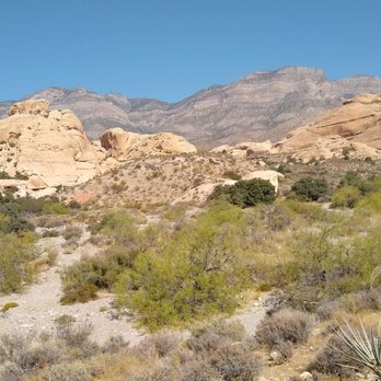 EZ Ride LV - Bike Rentals Near Me EZ Ride LV - Bike Rentals Near Me