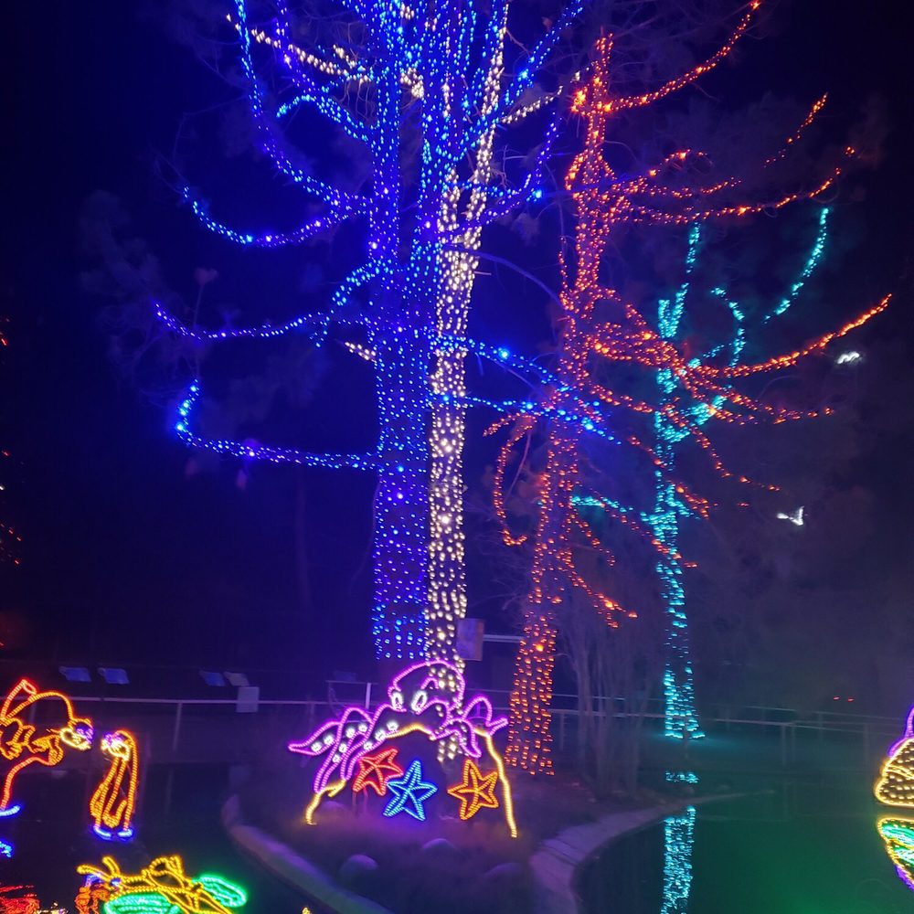 Holiday Lights at C.A.L.M. - Holiday Lights at CALM 2019 - Festivals Near Me - Bakersfield, California Holiday Lights at C.A.L.M. - Holiday Lights at CALM 2019 - Festivals Near Me - Bakersfield, California