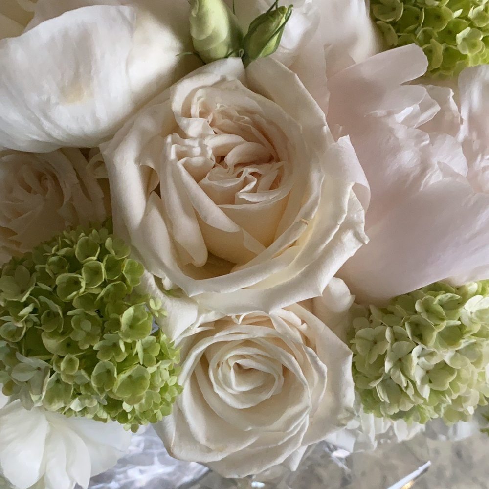 Park Cities Petals - flowers!! - Florists Near Me - Dallas, Texas