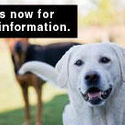 Parkview Veterinary Clinic
