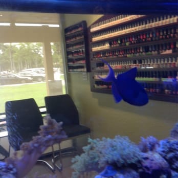 Q Nails & Spa - My daughter was taking a picture of the fish but the polish on the wall behind it is all gel polish. - Nail Salons Near Me - Miami, Florida Q Nails & Spa - My daughter was taking a picture of the fish but the polish on the wall behind it is all gel polish. - Nail Salons Near Me - Miami, Florida