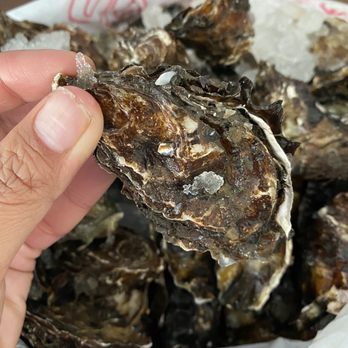 Bodega Bay Oyster - Seafood Markets Near Me - Petaluma, California Bodega Bay Oyster - Seafood Markets Near Me - Petaluma, California