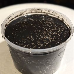 Heung Fa Chun Sweet House - Black Sesame Soup