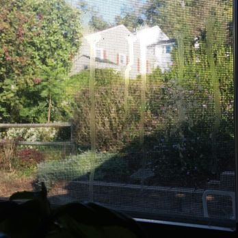 Top-Notch Cleaning - Water stains on kitchen window. This would have been a perfect "spot" to clean, no? - Home Cleaning Near Me - Saint Clairsville, Ohio