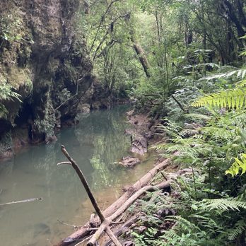 Waitomo Glowworm Caves - Rafting/Kayaking Near Me - Waitomo, WKO