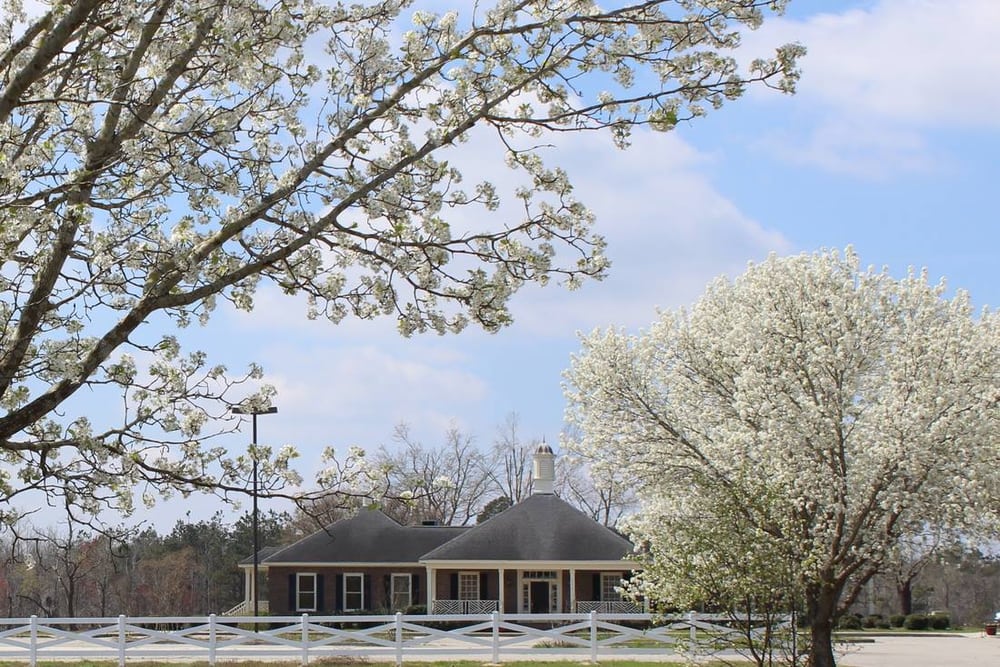 THE HILLS AT GALIVANTS FERRY Updated September 2024 1790 Hwy 501 W