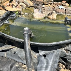 Filter hose installed wrong and holes through the liners due to rats because no protection by backfilling around and inside the waterfall.