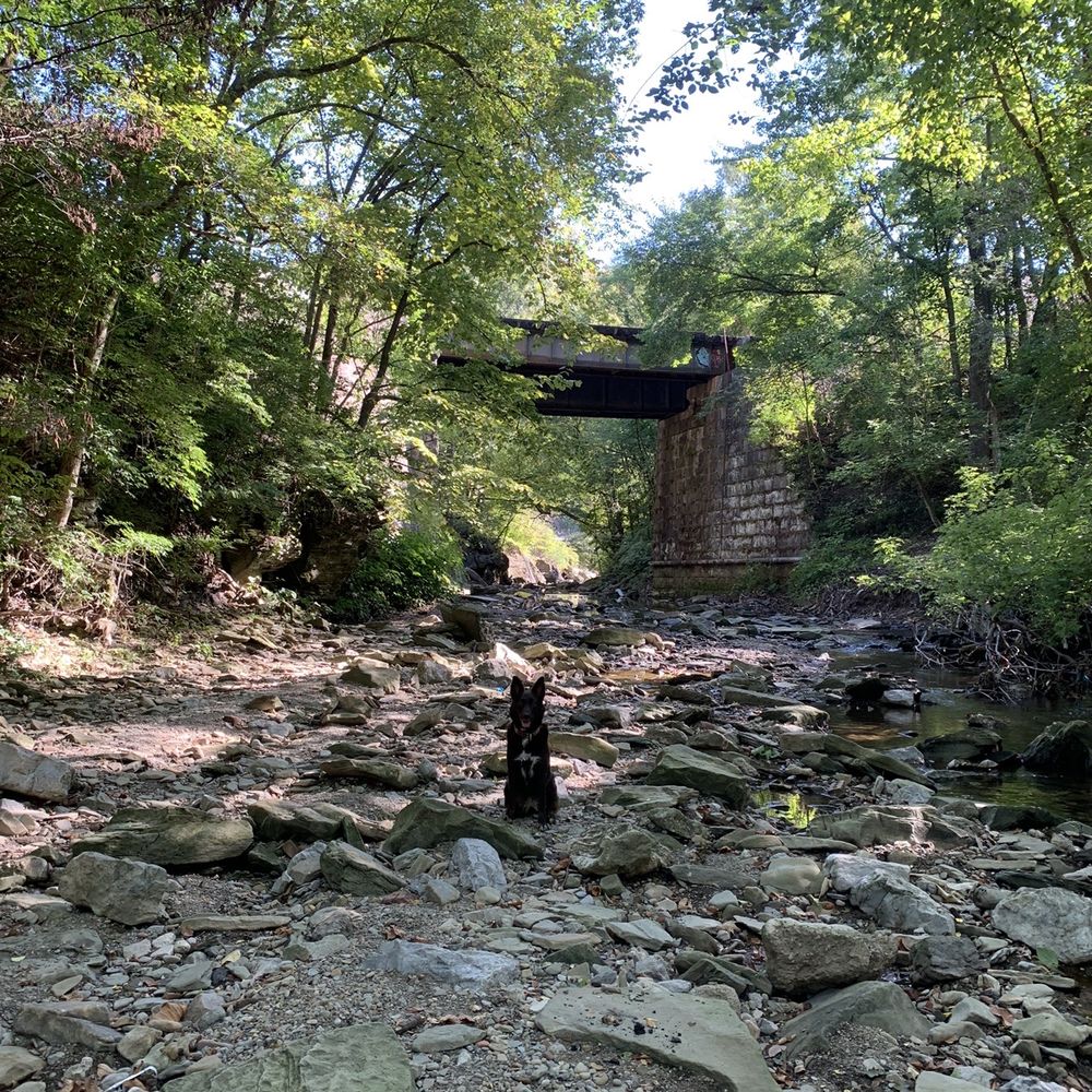 Beechview - Seldom Seen Greenway - happy pupper - Parks Near Me - Pittsburgh, Pennsylvania