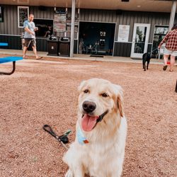 Leash area