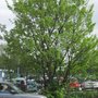 Photo of Crowngate Parking