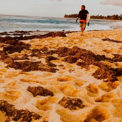 Aloha Brothers Surf Lessons - Heading to O'ahu?! @nickfowler9 born and raised surf guide at your service!!!
