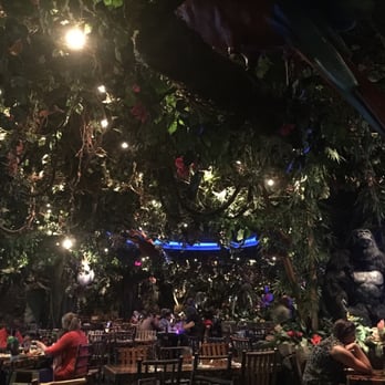Rainforest Cafe - Great forest theming with animatronics and real rain (in controlled areas) - American Near Me - Edison, New Jersey Rainforest Cafe - Great forest theming with animatronics and real rain (in controlled areas) - American Near Me - Edison, New Jersey