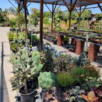 Lakewood Nursery - Nurseries & Gardening Near Me - Cypress, California Lakewood Nursery - Nurseries & Gardening Near Me - Cypress, California