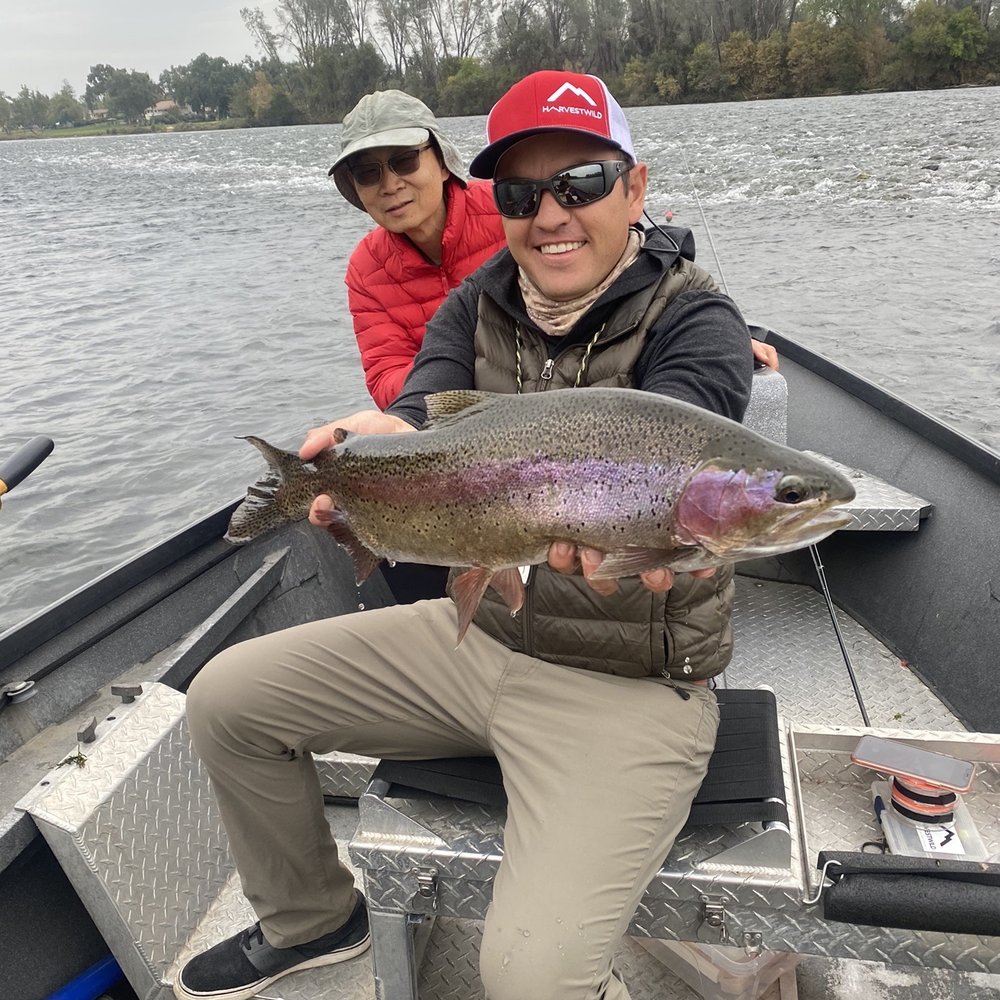 Big rainbow on the Sacramento River! Big rainbow on the Sacramento River!