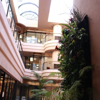 Youngman Ericsson Scott - Visit us inside the beautiful Atrium building. - Divorce & Family Law Near Me - Walnut Creek, California Youngman Ericsson Scott - Visit us inside the beautiful Atrium building. - Divorce & Family Law Near Me - Walnut Creek, California