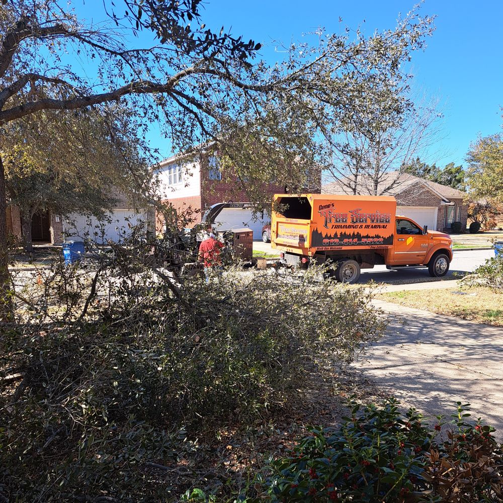 Gene's Tree Service - Tree Services Near Me - Woodbury, Minnesota Gene's Tree Service - Tree Services Near Me - Woodbury, Minnesota