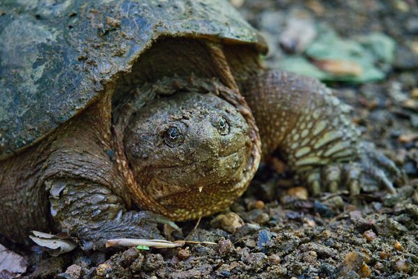 Cheesequake State Park