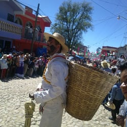 Guerra de los Indios Tejocoteros - Indio Tejocotero.