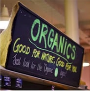 The Wine Cellar at Fallon & Byrne by null