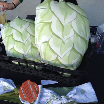 Brew Hub - Harbinger fest: They have hop pillows! How cute! - Breweries Near Me - Lakeland, Florida Brew Hub - Harbinger fest: They have hop pillows! How cute! - Breweries Near Me - Lakeland, Florida