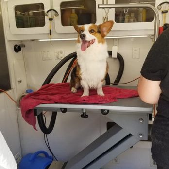 Reese's Rainbow Mobile Pet Salon - Pet Groomers Near Me Reese's Rainbow Mobile Pet Salon - Pet Groomers Near Me