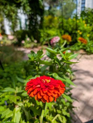 Marie Selby Botanical Gardens Downtown Sarasota by null