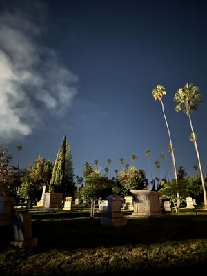 Hollywood Forever Cemetery by null