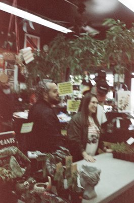 Adams & Son & Daughter Gardens by null