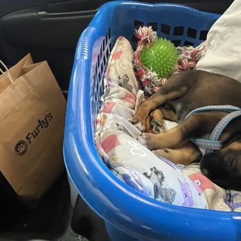 Furly's Pet Supply - Pet store - Pet Stores Near Me - Lake Forest, California