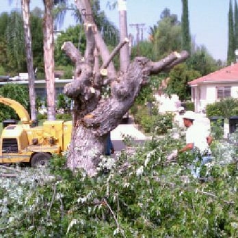 Tree Care by Design - Tree Services Near Me