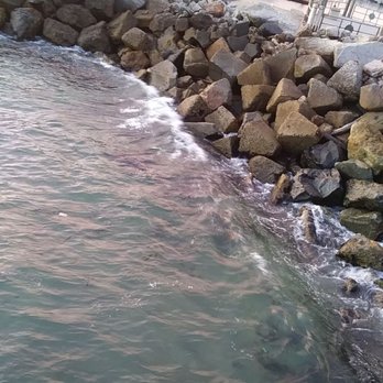 Redondo Beach Pier - Rocks - Souvenir Shops Near Me - Redondo Beach, California Redondo Beach Pier - Rocks - Souvenir Shops Near Me - Redondo Beach, California