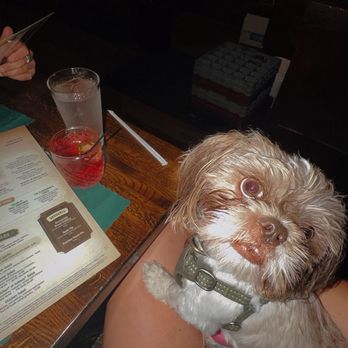 Six Pence Pub - American Near Me - Blowing Rock, North Carolina Six Pence Pub - American Near Me - Blowing Rock, North Carolina