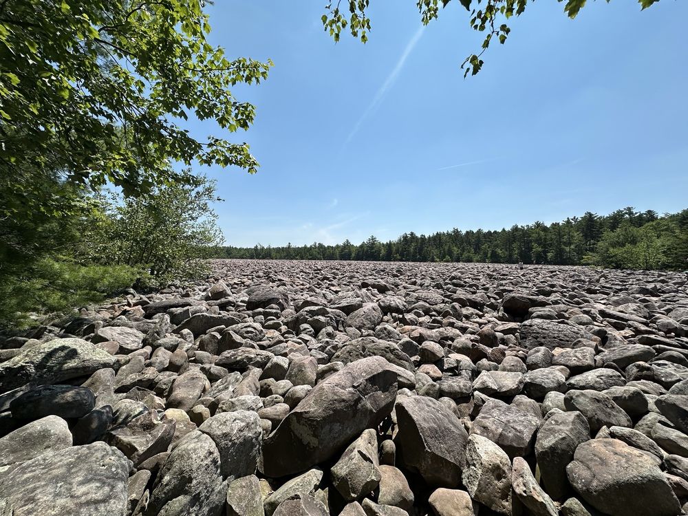 Boulder Field Logo