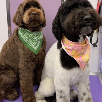 JYLAX - Pet Groomers Near Me - Encino, California JYLAX - Pet Groomers Near Me - Encino, California