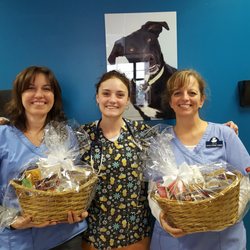 Black Dog Veterinary Services