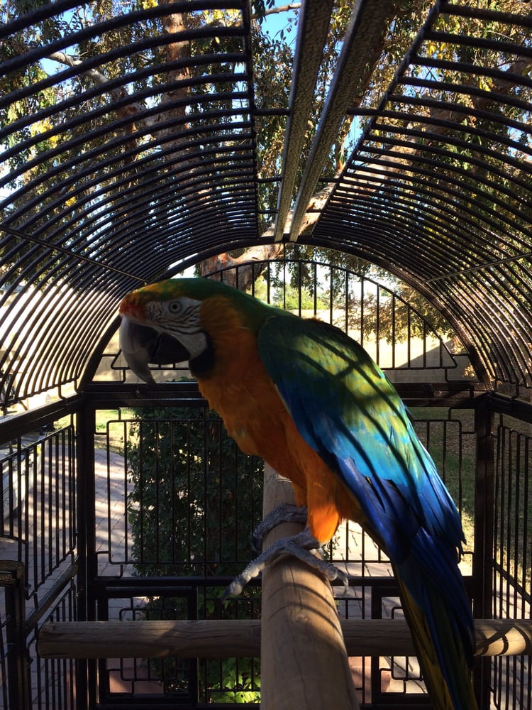 GLENDALE POWDER COATING Updated October 2024 23 Photos & 22 Reviews